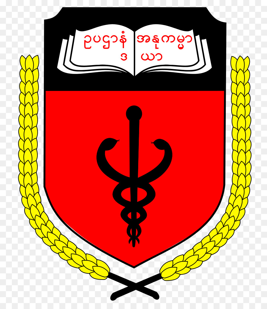 университет медицины мандалай，университет иностранных языков мандалай PNG