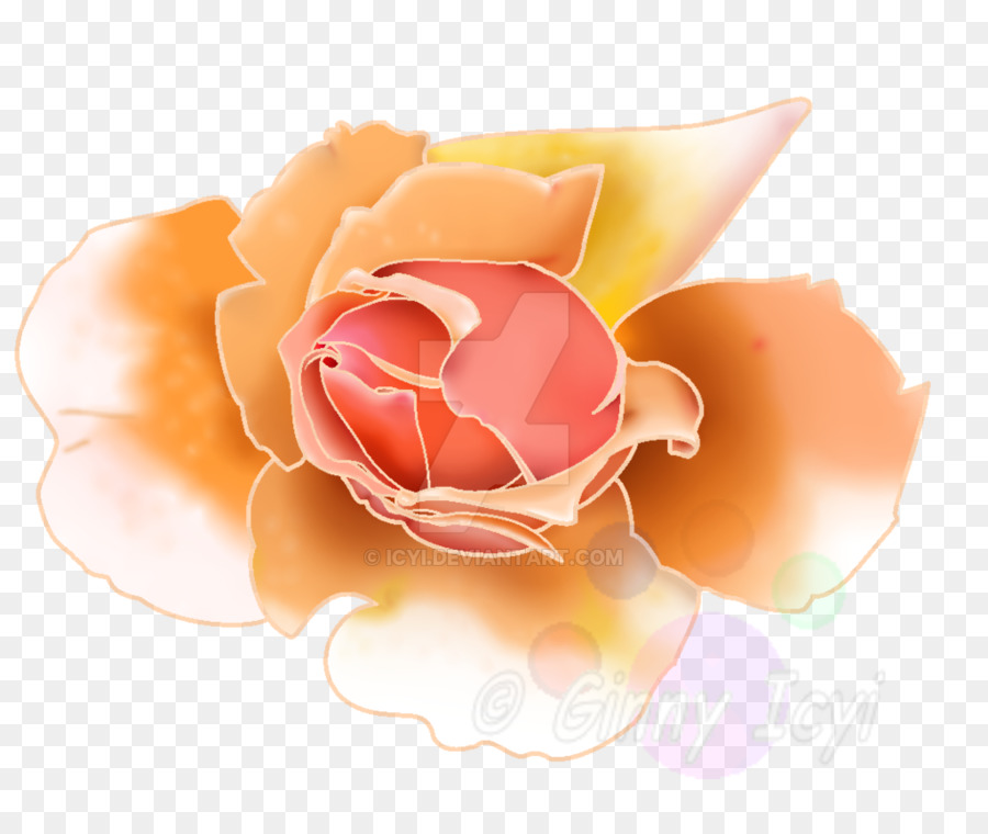 сад роз，розовый M PNG