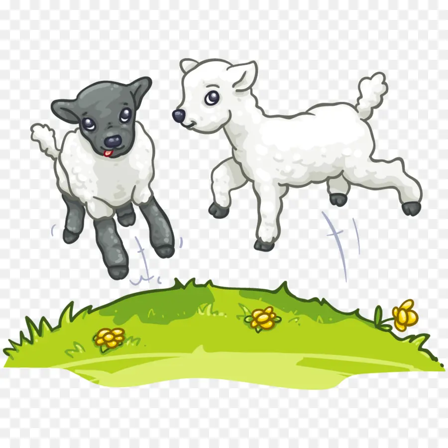 овцы，молочный скот PNG