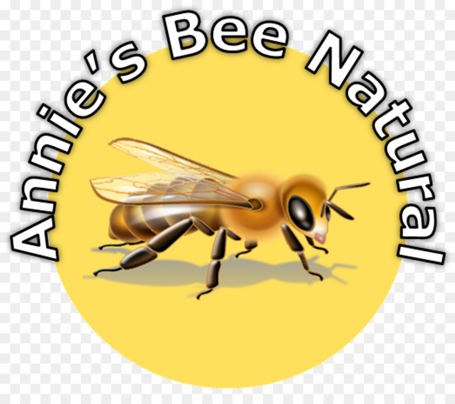 мед пчелиный，Брайтон Holisticsбыл PNG