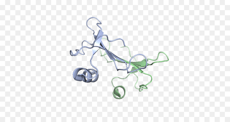 Структура белка，Молекула PNG