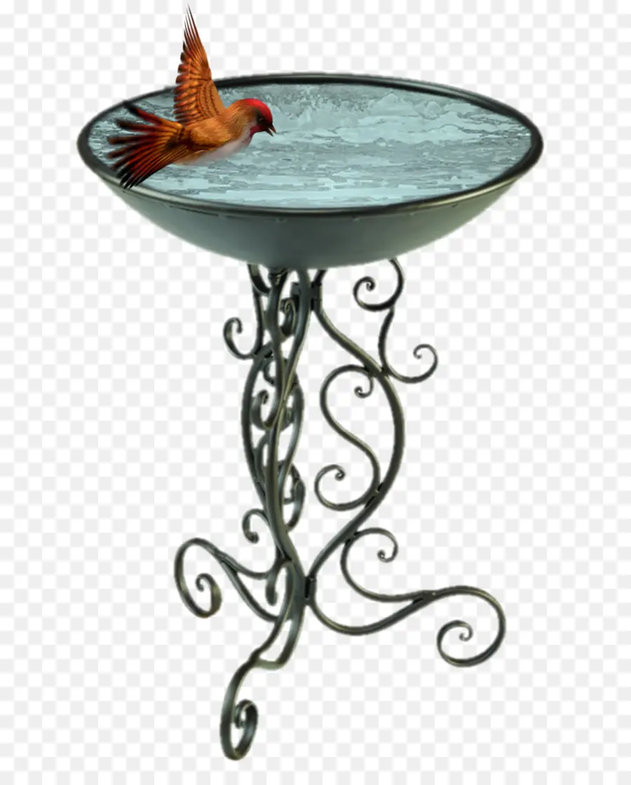 птица，птица ванны PNG