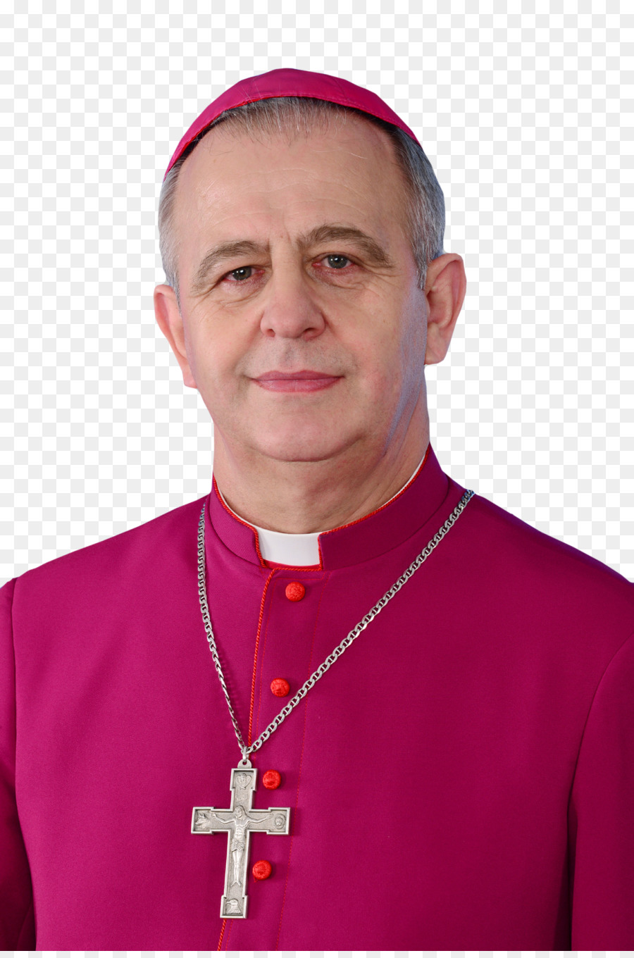 ян петровский，Auxiliary Bishop PNG