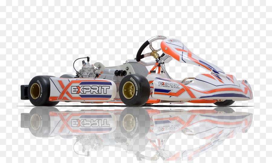 Тони карт. Картинг Тони карт. Esprit Racing Kart. Картинг шасси Formula k. Шасси Formula World картинг.