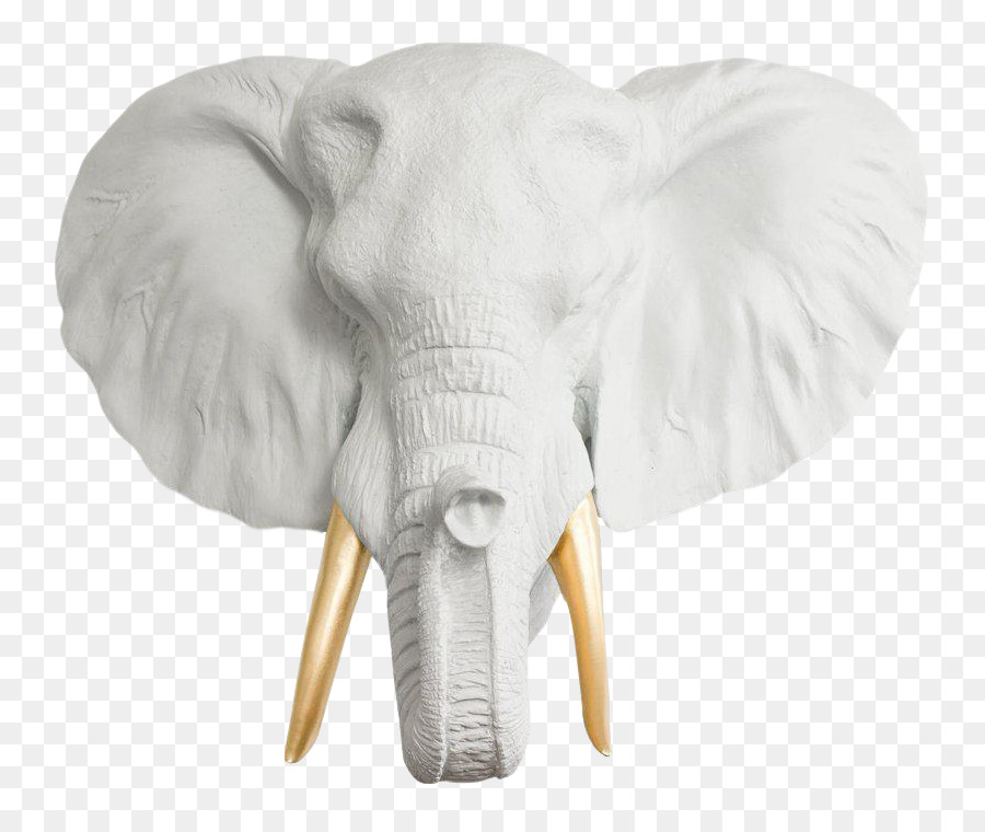 Белый слон картинки