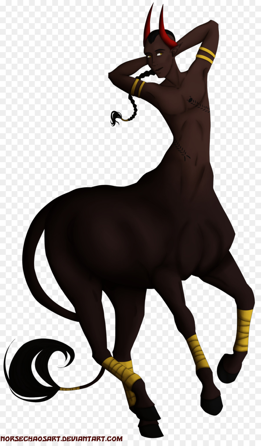 Mustang，Donkey PNG