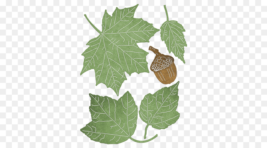 лист，виноградные листья PNG