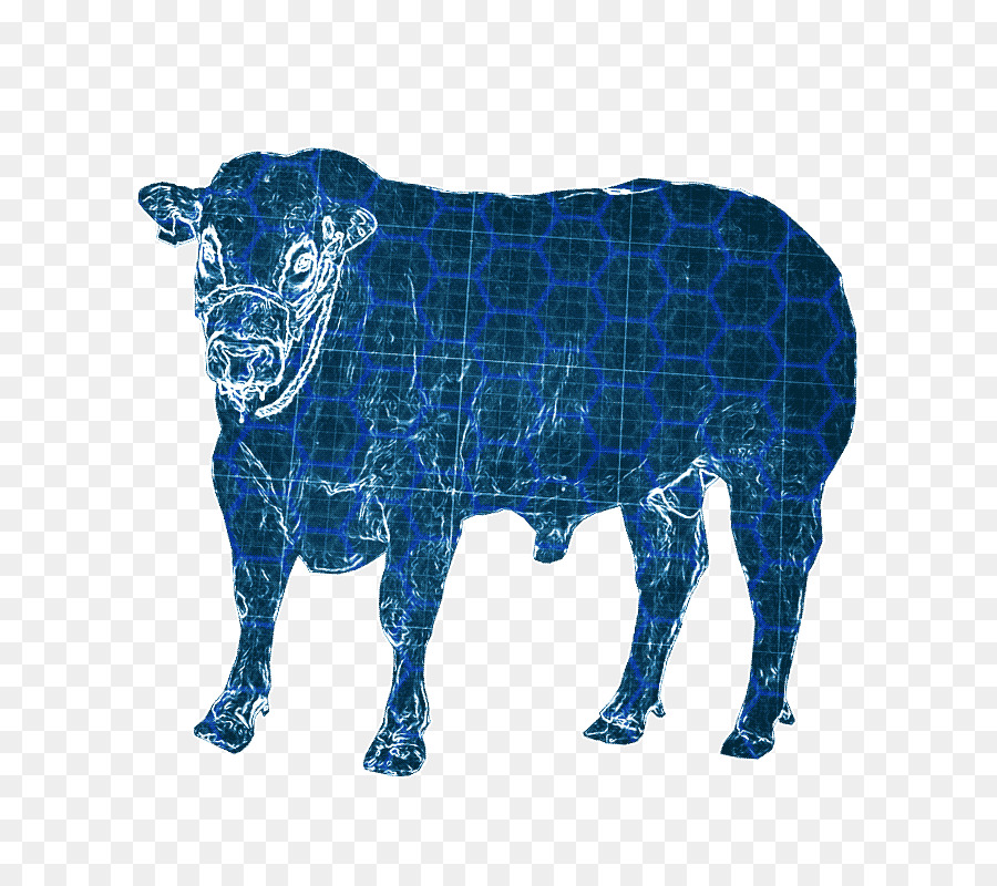 молочный скот，таурин крупного рогатого скота PNG