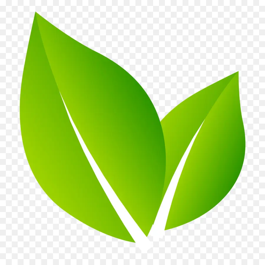 логотип，природа PNG