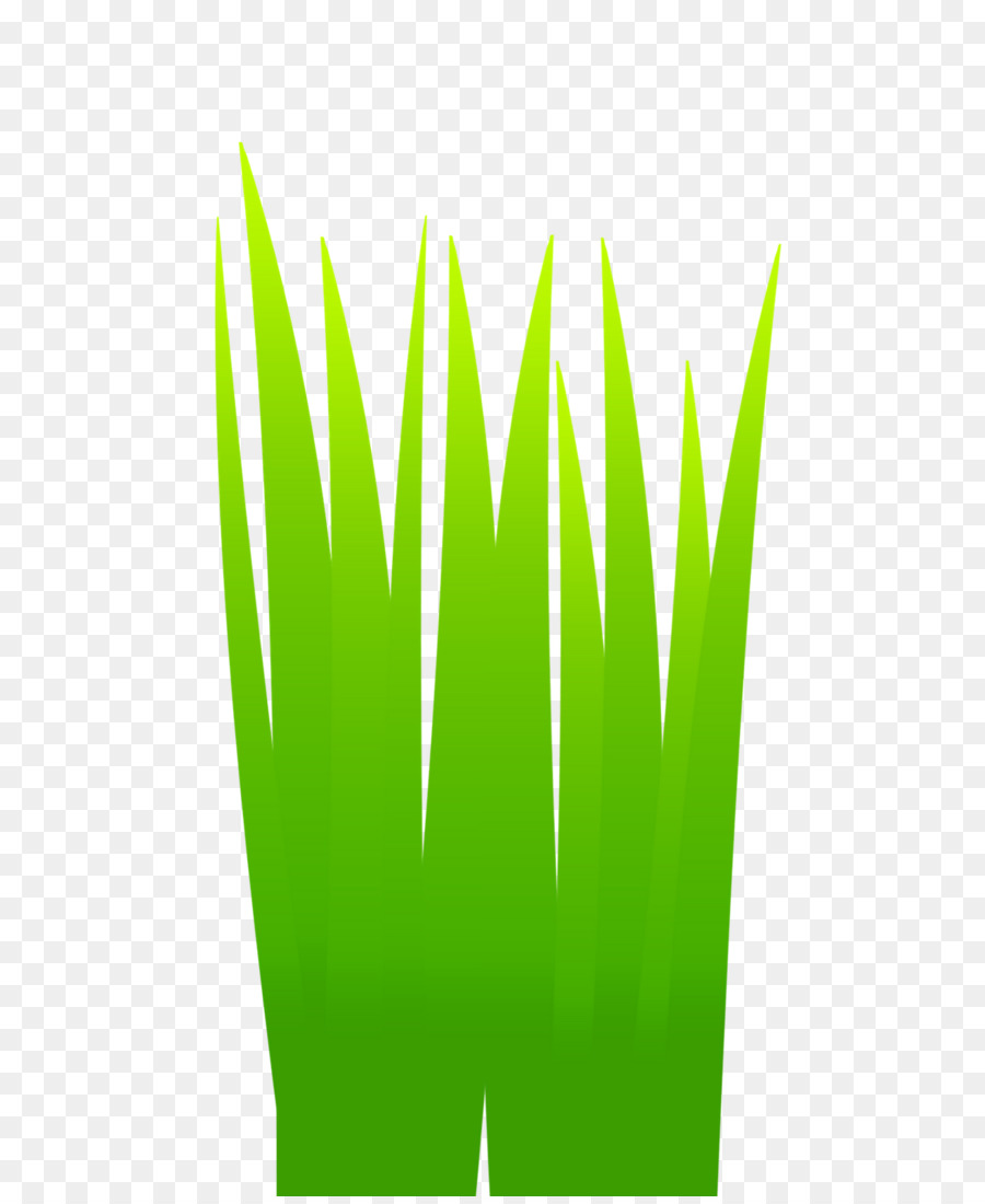 травы，лист PNG