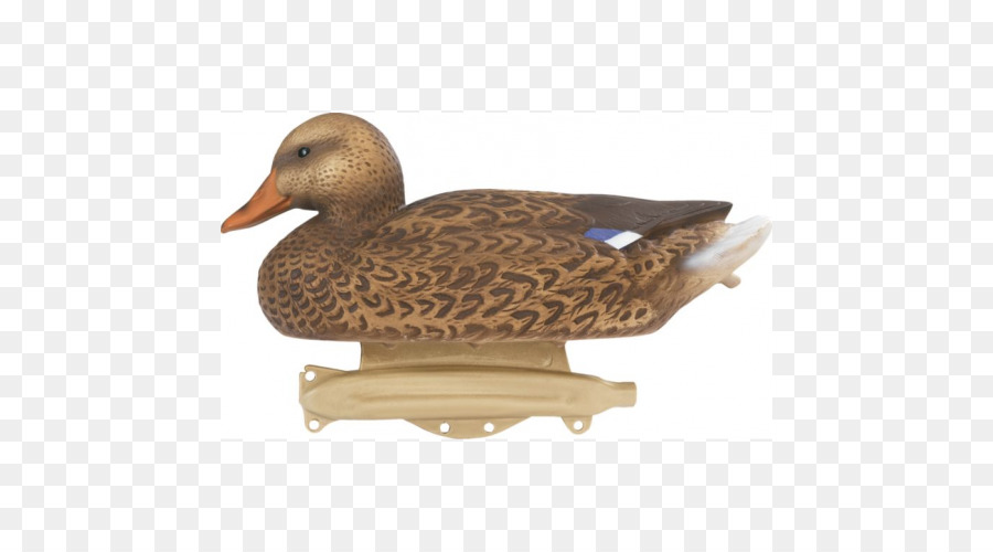 Mallard，дак PNG