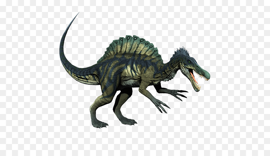 спинозавр，тираннозавр PNG