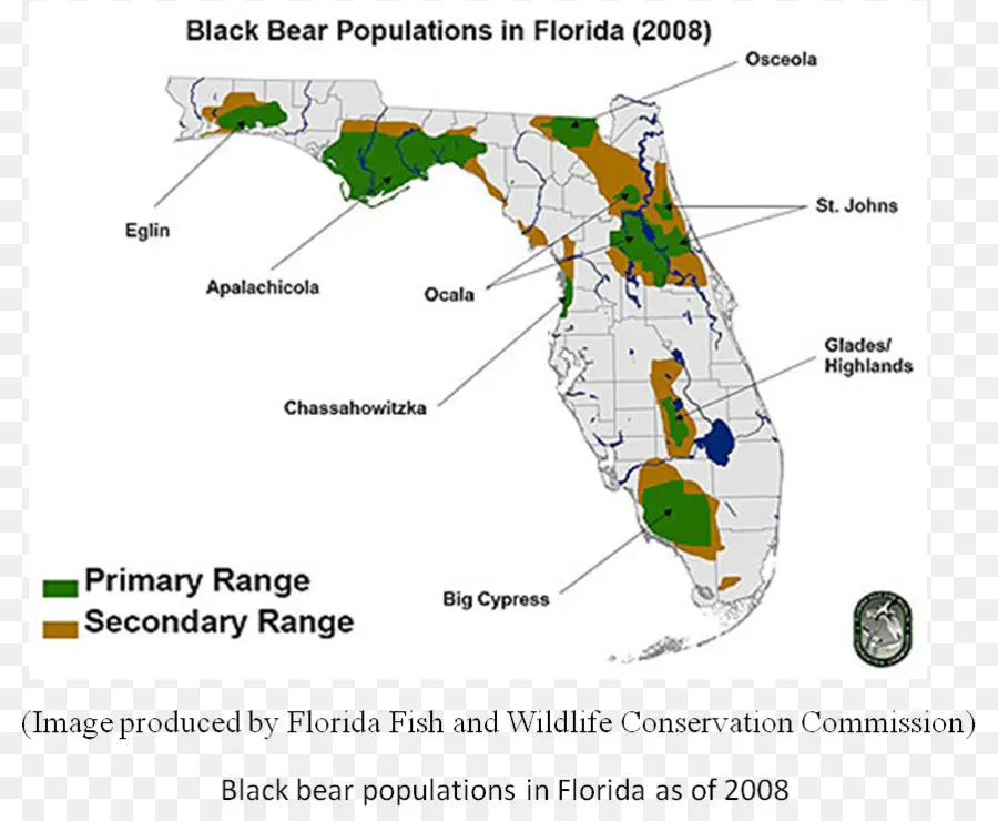 Карта популяции медведей Флориды，Медведь PNG
