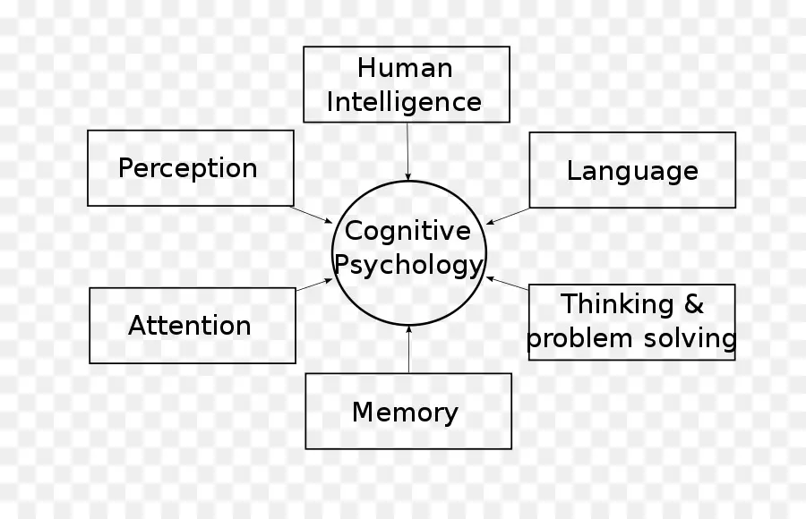 когнитивная психология，психология PNG