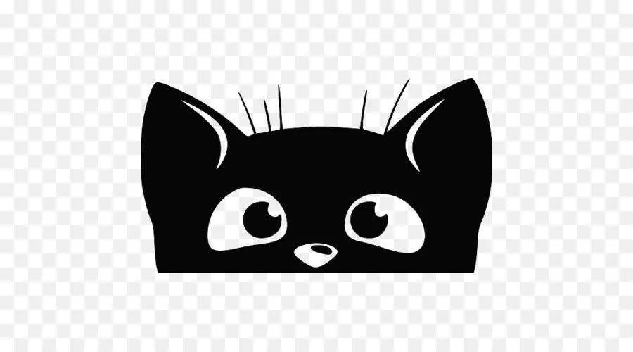 усы，черная кошка PNG