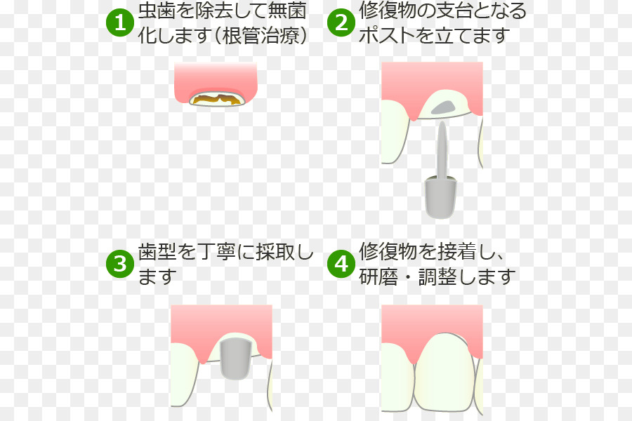 稲毛区・西千葉 西千葉フラワー歯科医院，стоматолог PNG