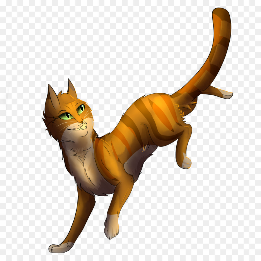 кот，кошачий PNG