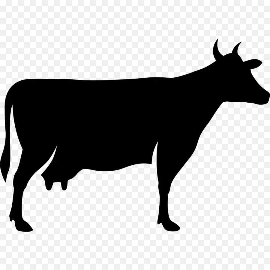 молочный скот，говядина PNG