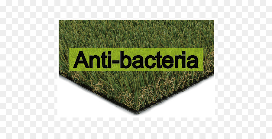 Artificial Turf，Lawn PNG