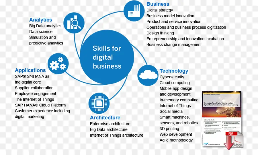 Навыки цифрового бизнеса，бизнес PNG