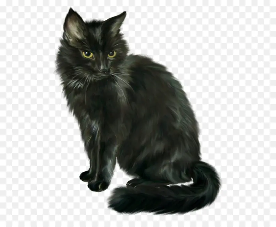 Черный котенок，кот PNG