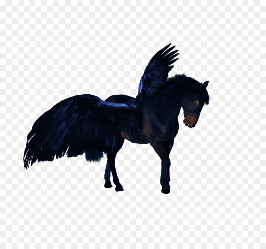 Mustang，Stallion PNG