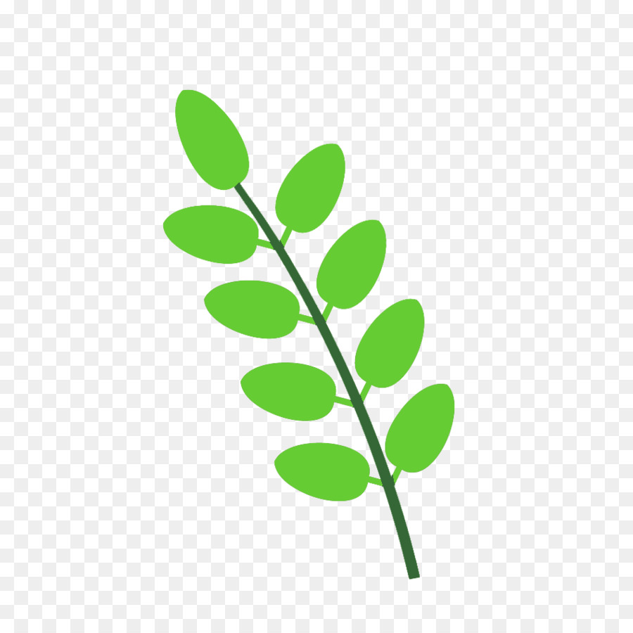 стебель растения，лист PNG