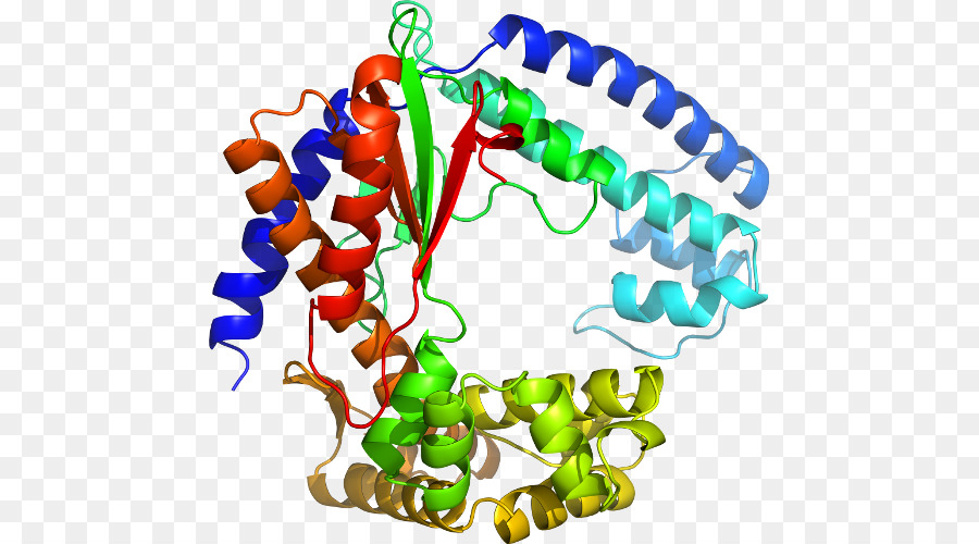 1 dna. Украшения ДНК ювелирные.