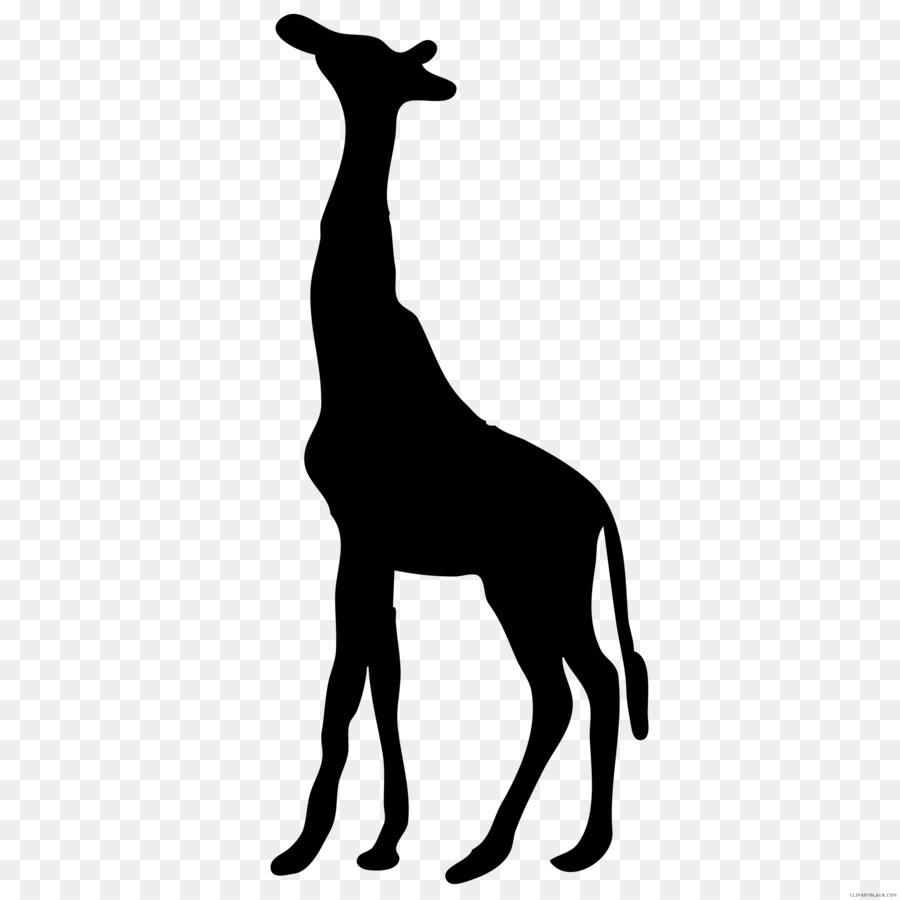 силуэт，западноафриканский жираф PNG