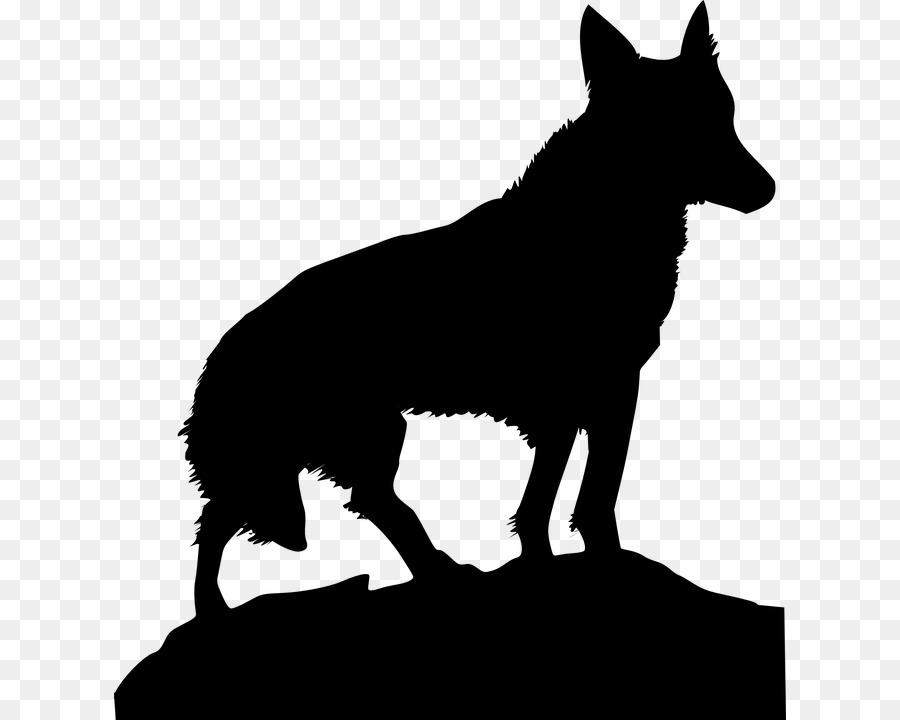 собака，черный волк PNG