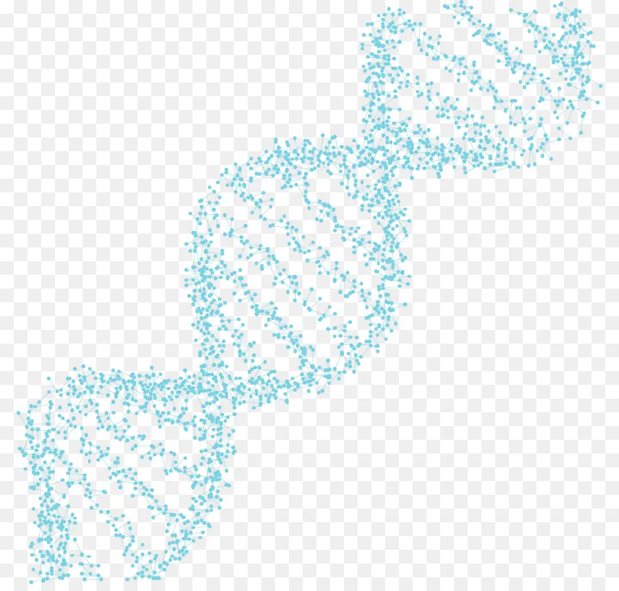 генеалогический ДНК тест，ДНК PNG
