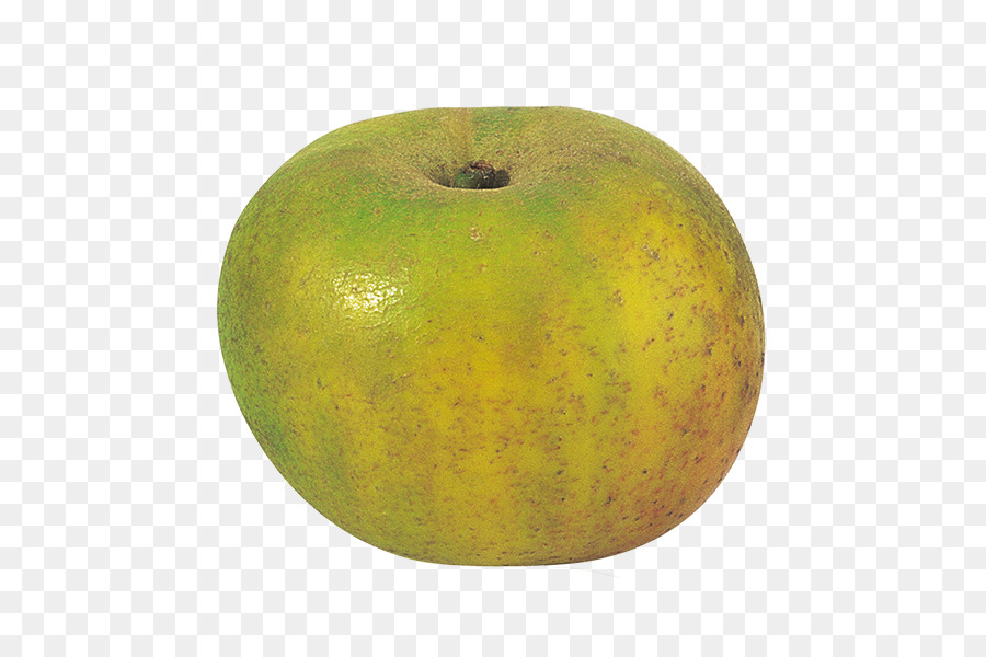 Apple，ранет бродяга PNG