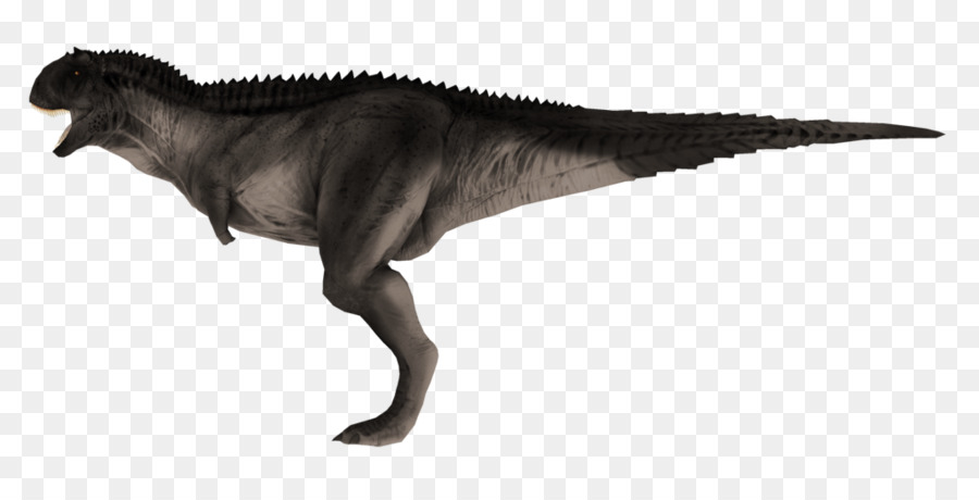 тираннозавр，Acrocanthosaurus PNG