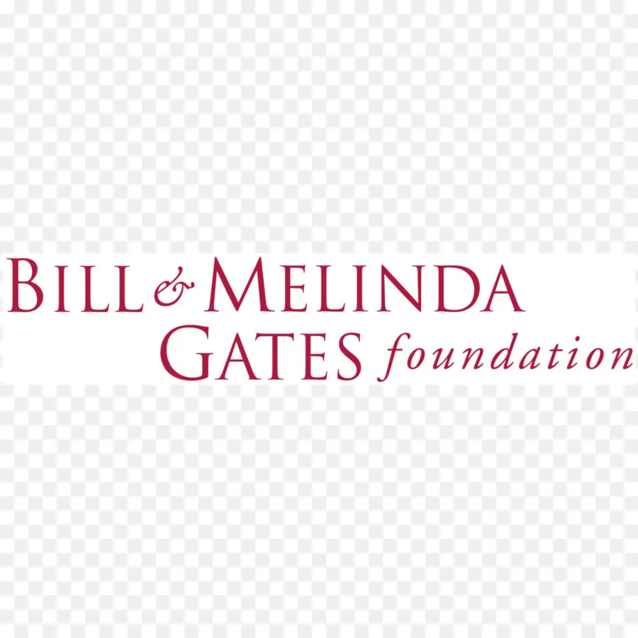 фонд Билла мелинды Гейтс，фонд PNG