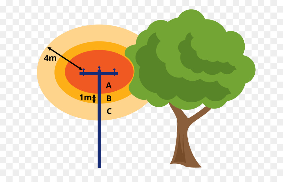 дерево，схема PNG