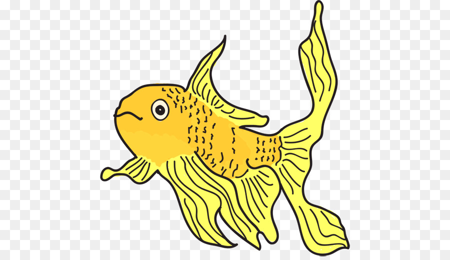 зоомагазин，Золотая рыбка PNG