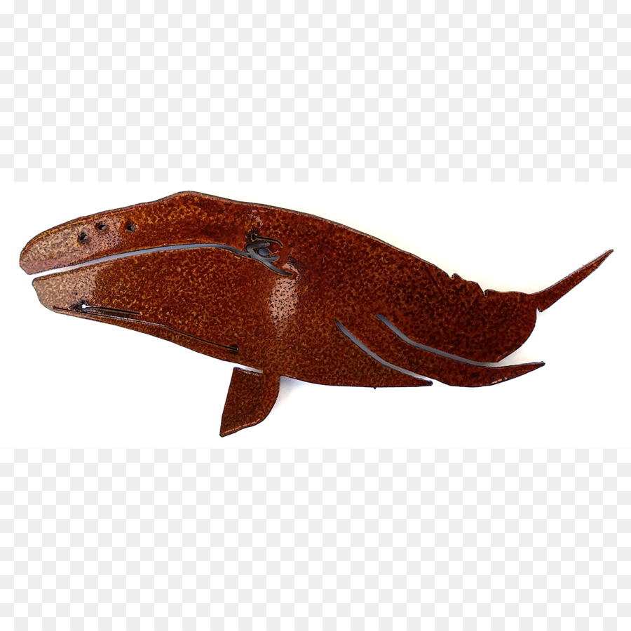 рыбы，организм PNG