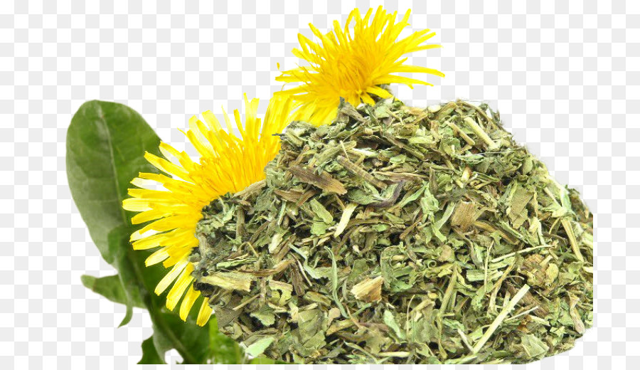 Dandelion，Food PNG