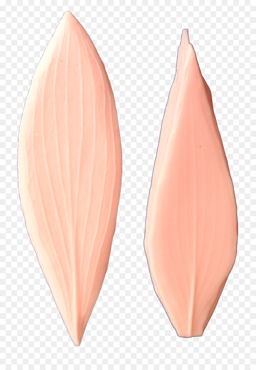 свиное ухо，розовый M PNG