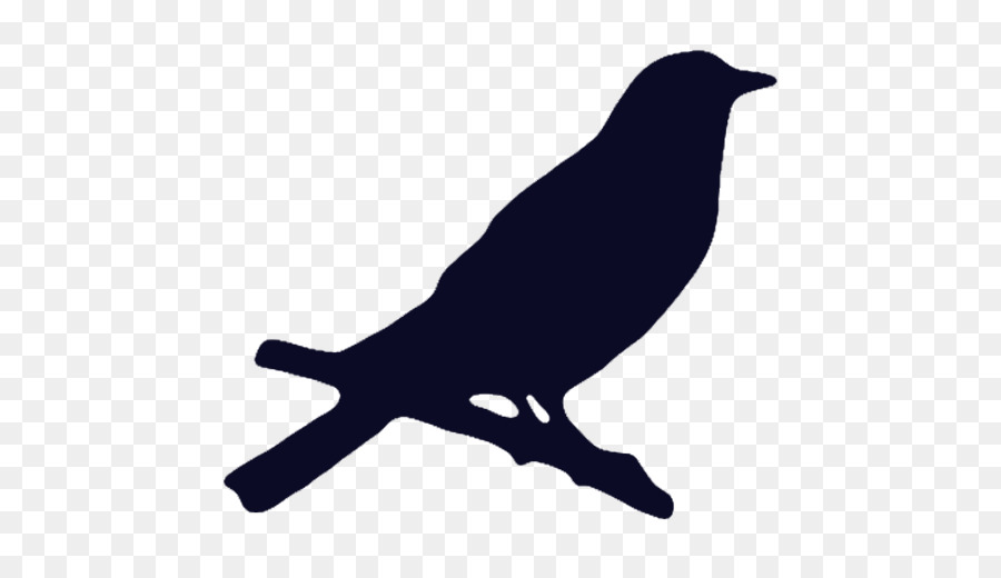 американская ворона，птица PNG
