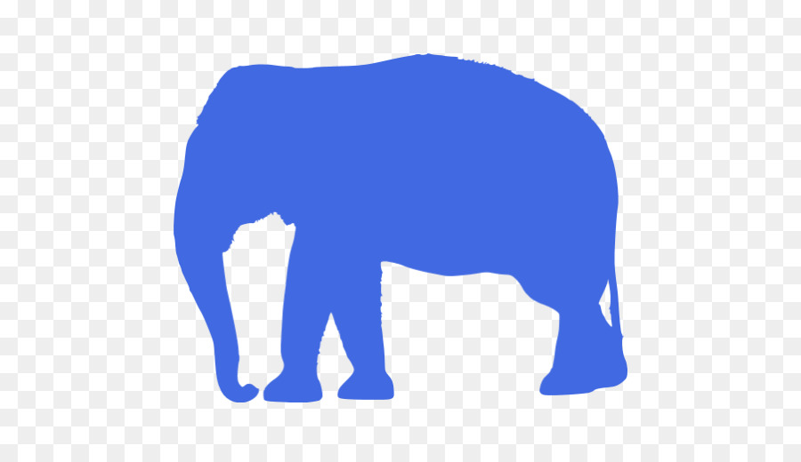 слоновые，индийский слон PNG