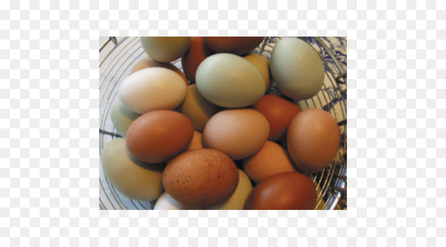 яйцо，ингредиент PNG