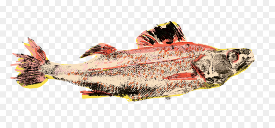 лосось，рыбные продукты PNG