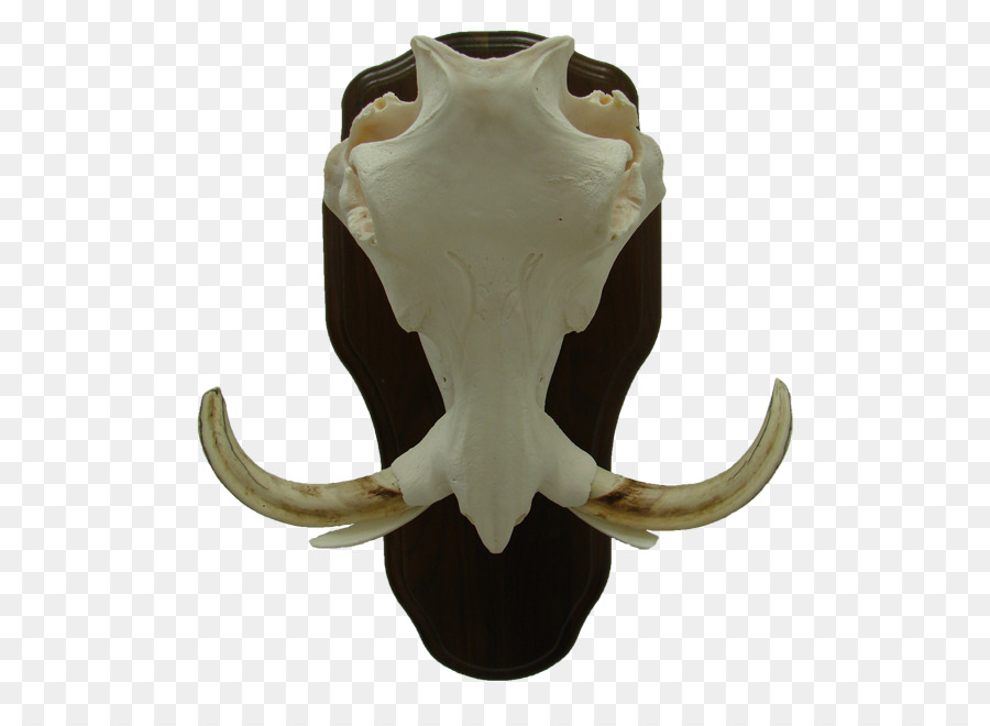крупный рогатый скот，челюсти PNG