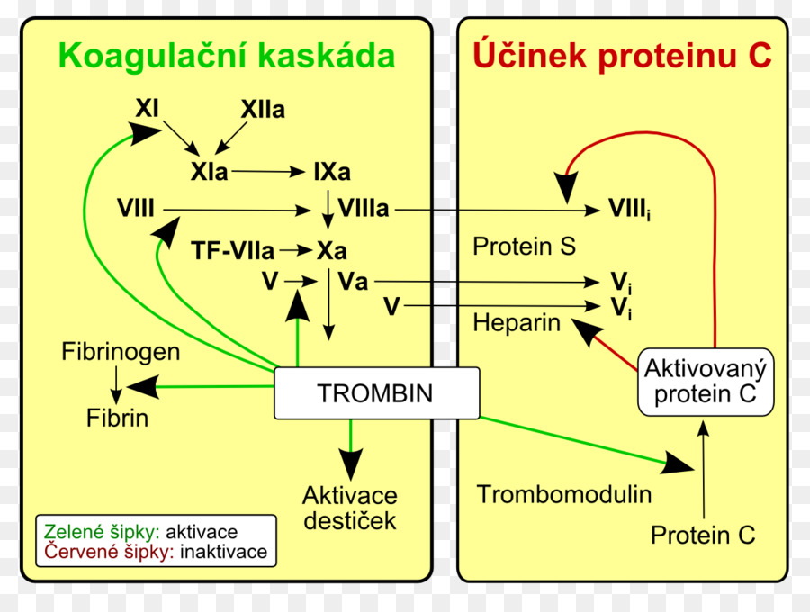 линия，точка PNG