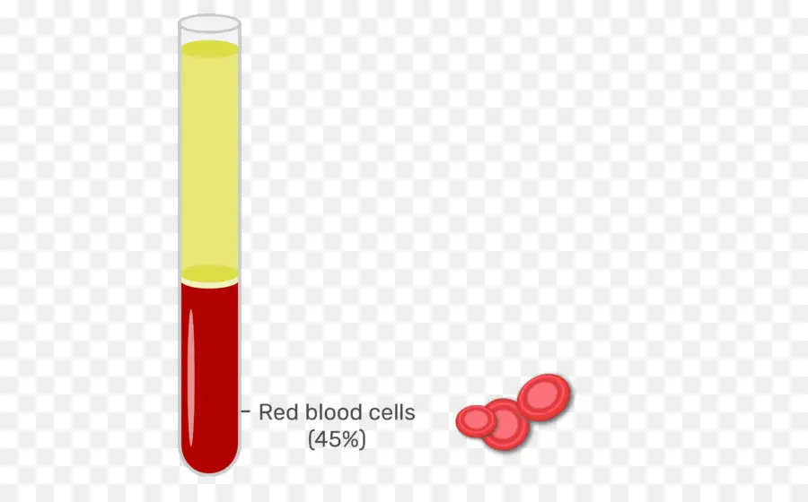 кровь，красные кровяные клетки PNG