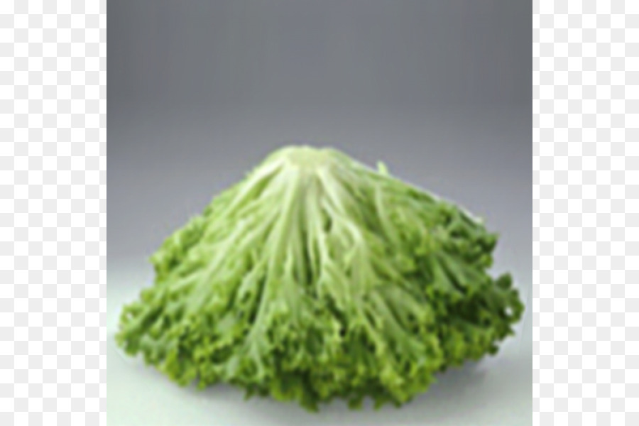 Lettuce，в розницу PNG