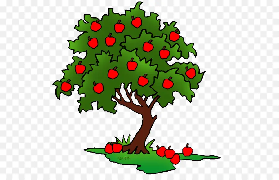 яблоко，дерево PNG