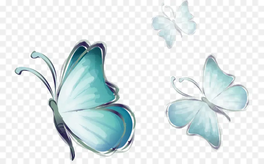 бабочка，цветок PNG