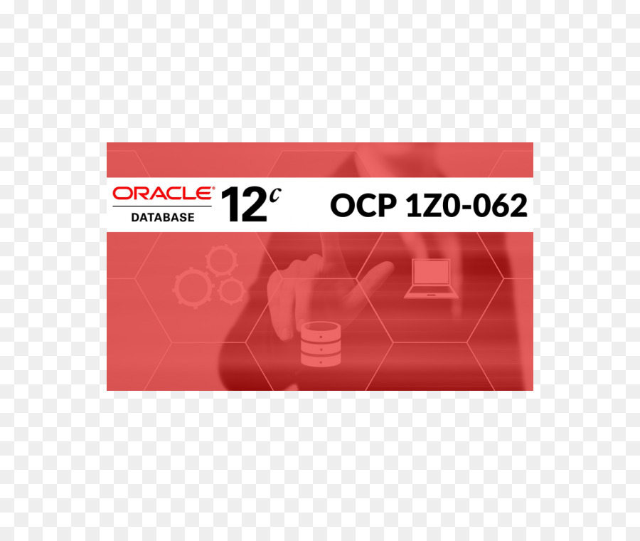 базы данных Oracle，бизнес PNG